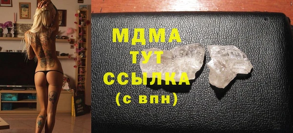 стаф Тайга