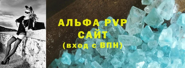 стаф Тайга