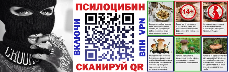 Псилоцибиновые грибы мицелий  Красный Кут 